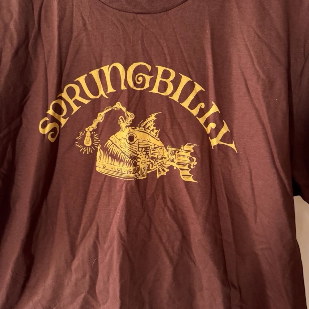 "Sprungbilly" Bluegrass Band Brown Hanes Graphic T-Shirt L - Picture 5 of 5